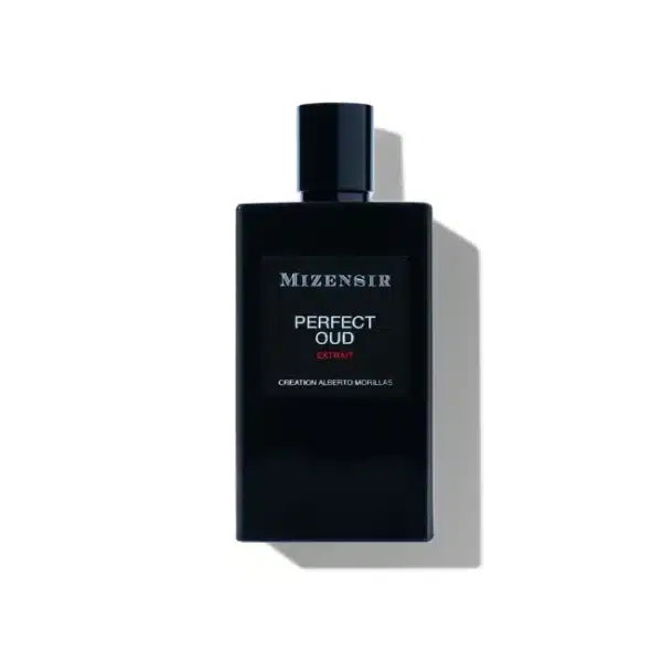 Mizensir Perfect Oud Extrait 100ml EDP Spray